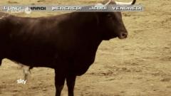Le semainier (05/05)