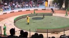 A Bear and a Monkey Race on Bicycles What's the Worst that Could Happen