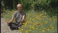 Francis Peeters - Eschscholzia californica ‘Aurantiaca Orange King’