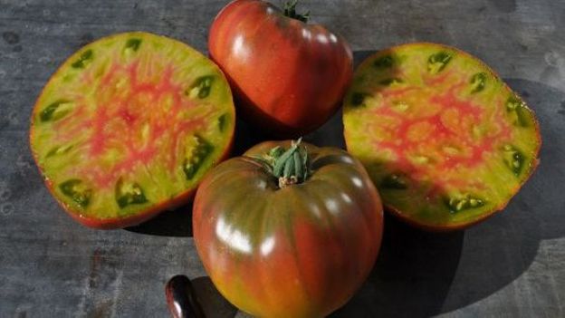 Tomate ananas noire