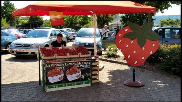 Vendeur de fraises à Wépion
