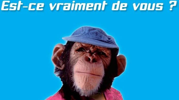 Une journée contre le plagiat
