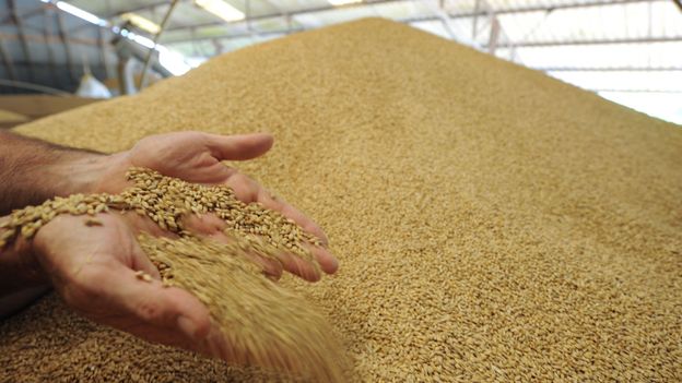 Les prix des matières agricoles devraient rester orientés à la hausse