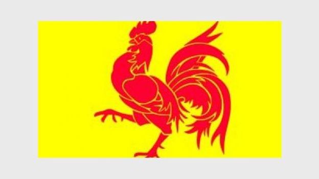 Le coq wallon sur le drapeau