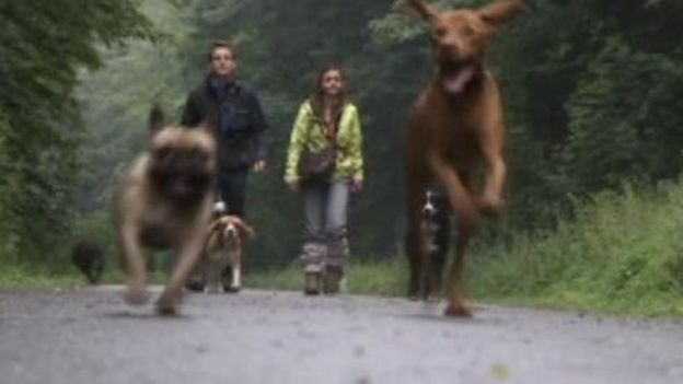 Le pet-sitting est à la mode