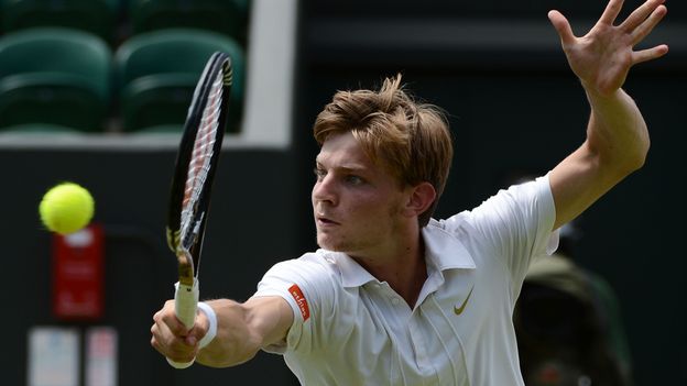 Goffin sur sa lancée de Roland Garros