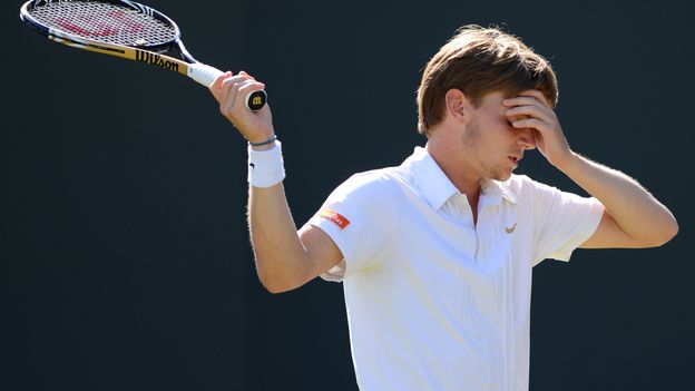 David Goffin