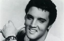 Elvis 