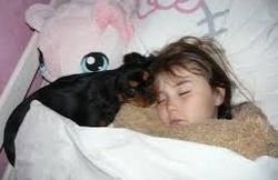 Dormir avec son animal Dormir avec son animal