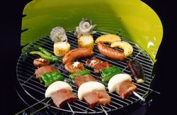 Nature : Le barbecue écolo 