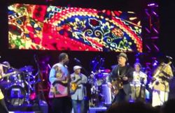 paul simon paul simon