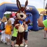 Tiens, un lapin !