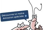 Où est Suzette ?