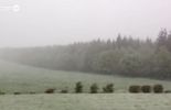 De la neige à Spa en plein mois de mai (vidéo)