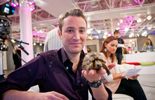 L’hibernation et les tortues terrestres