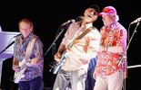 The Beach Boys - The 50th Anniversary Tour