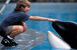 Sauvez Willy : chaque vendredi sur La Deux