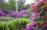 Agenda des évènements autour du jardin