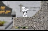 123 Diana sera inhumée samedi à Cerfontaine