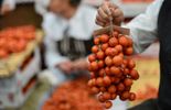 123 Le Belge est friand de carottes, tomates et pommes