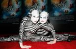 123 Cirque du Soleil: 300 à 600 suppressions d'emplois