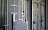 123 Les prisonniers vont bientôt voir leurs droits rabotés