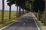 123 Des arbres abattus sur la Nationale 3 pour des raisons de sécurité