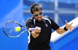 Tipsarevic et Seppi en finale à Eastbourne
