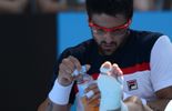 Tipsarevic ne défiera pas les Belges