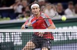Ferrer rejoint Janowicz en finale à Bercy
