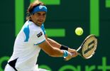 Ferrer dans le dernier carré à Miami