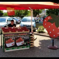 Vendeur de fraises à Wépion
