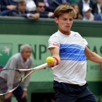David Goffin