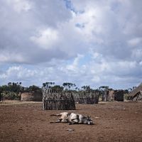 Village incendié à Kilelengwani