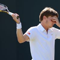 David Goffin