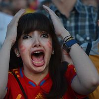 Euro 2012 : le spectacle est aussi en tribune