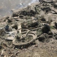 C’est en jouant sur le niveau de la Meuse que les deux corps ont été découverts