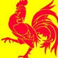Le coq wallon sur le drapeau