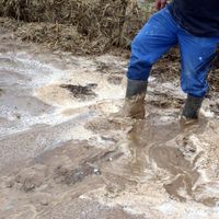 Conséquence de la pluie surabondante: des coulées de boue ont envahi routes et chemins. 