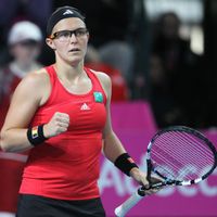 Feu vert pour Kirsten Flipkens