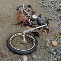 Harley Davidson